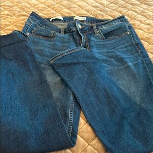 Women's Blue Jeans Vigoss Sz 28